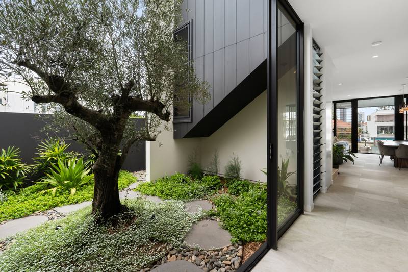Courtyard garden